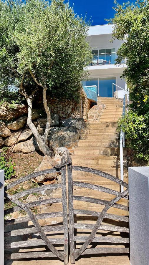 Villas Tin Coves Noves بونتا غروسا المظهر الخارجي الصورة